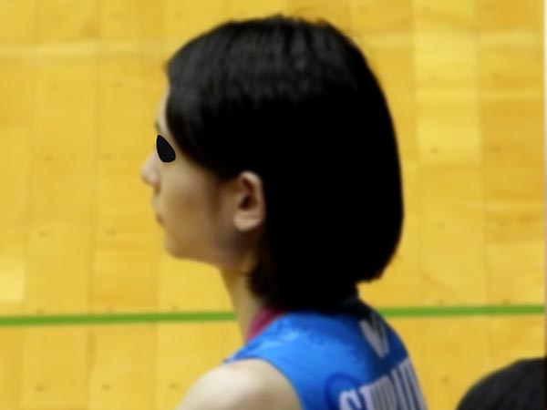 期間限定 マイスター152